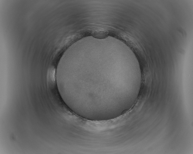 X0000113060041200909250917