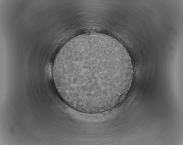 X0000113060042200909250917