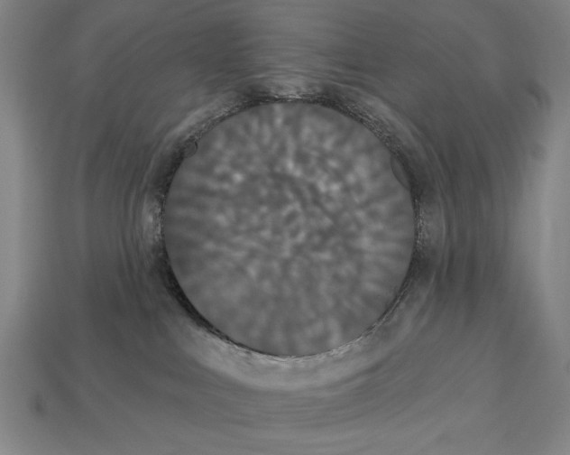 X0000113060043200909250917