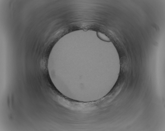 X0000113060044200909250917