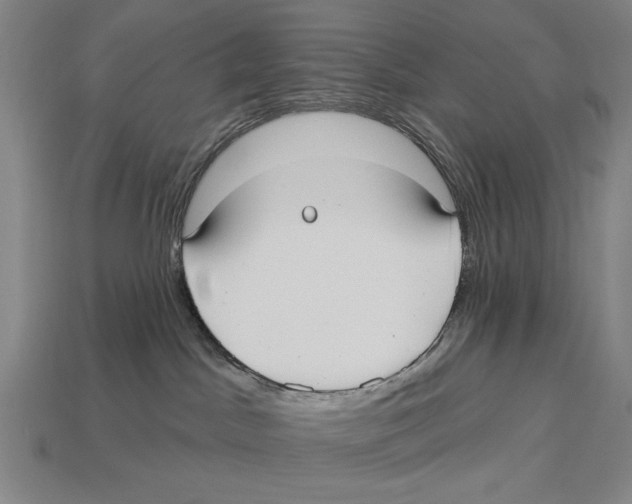 X0000113060045200909250917