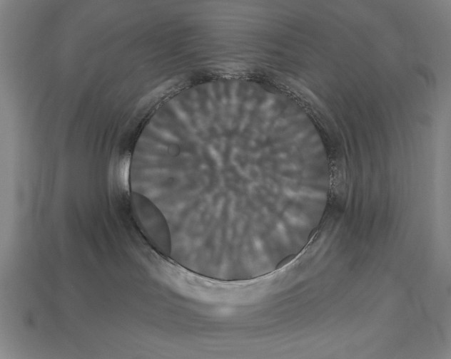 X0000113060047200909250917