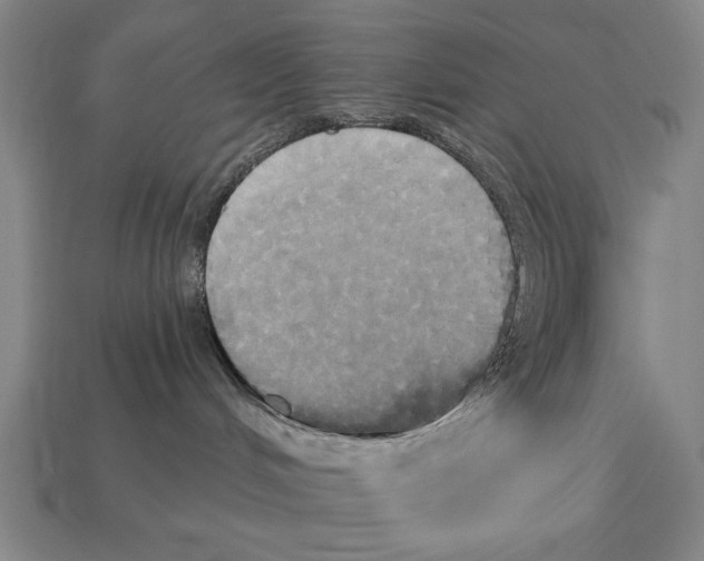 X0000113060048200909250917