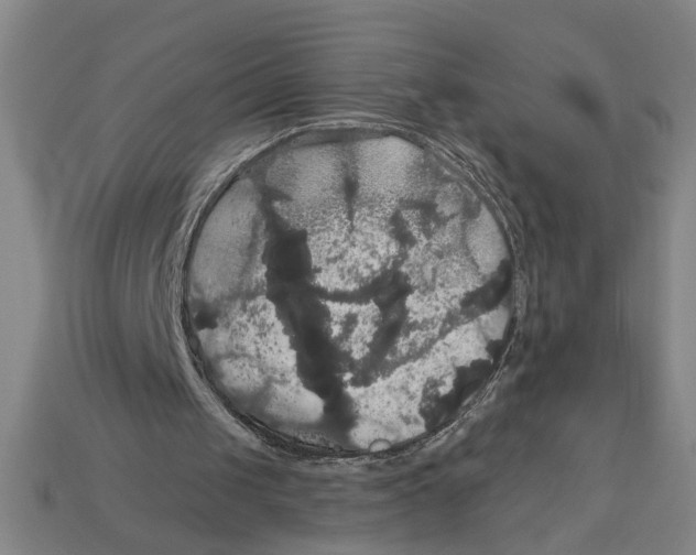 X0000113060049200909250917