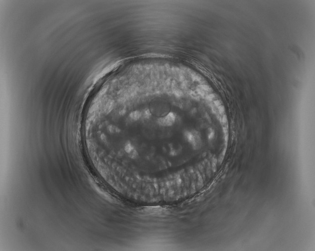 X0000113060050200909250917