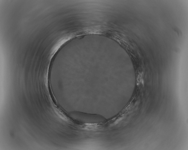 X0000113060052200909250917