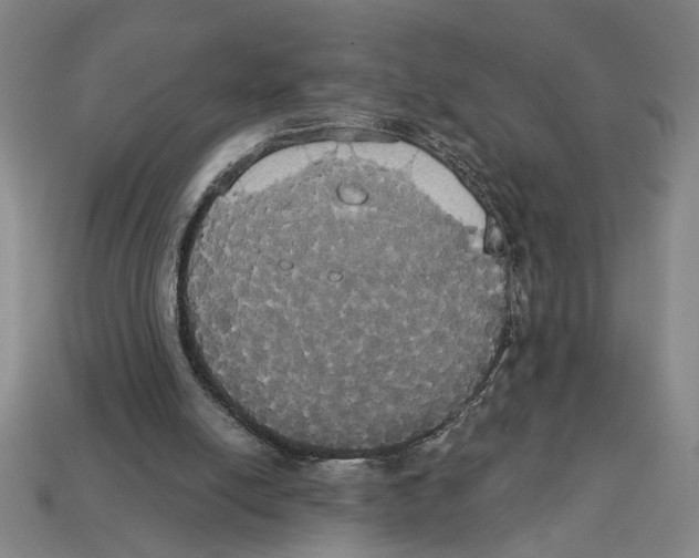 X0000113060054200909250917