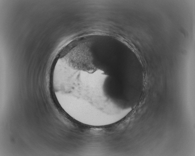 X0000113060055200909250917