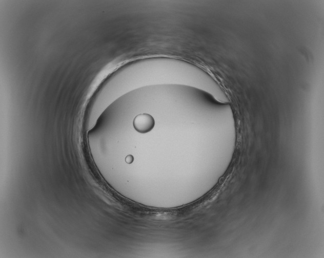 X0000113060056200909250917