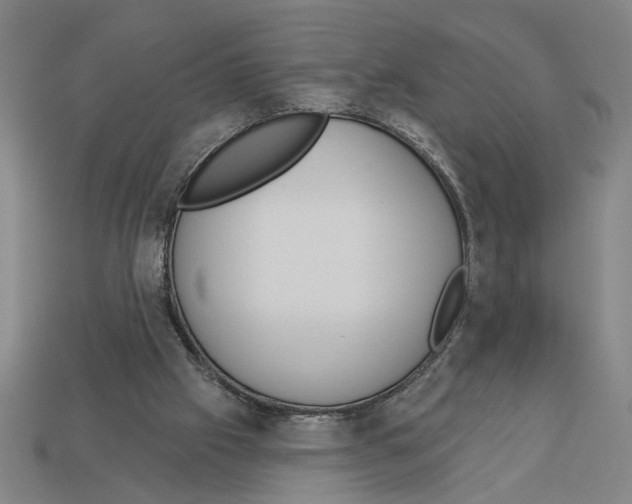 X0000113060057200909250917