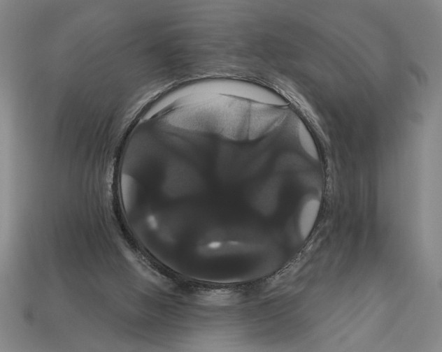 X0000113060058200909250917