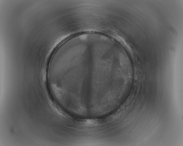 X0000113060060200909250917