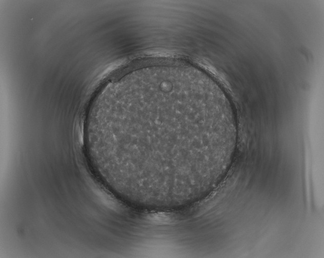 X0000113060062200909250917