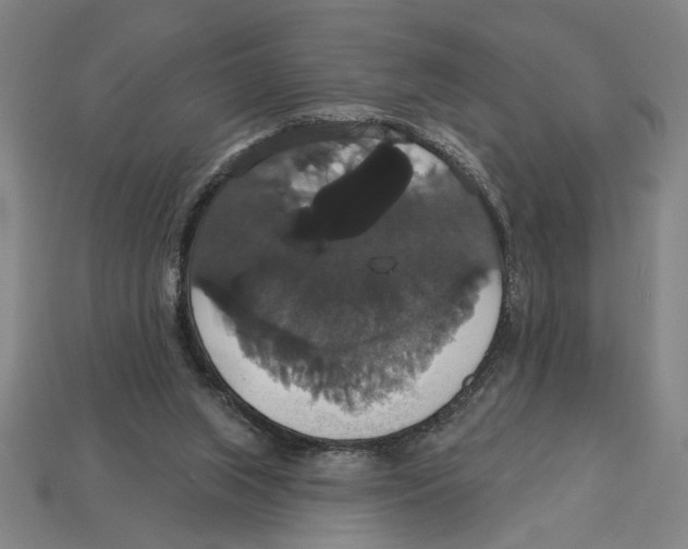 X0000113060063200909250917