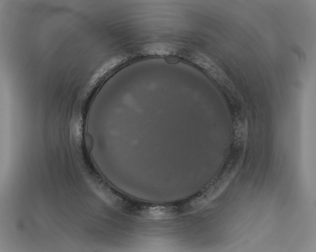 X0000113060064200909250917