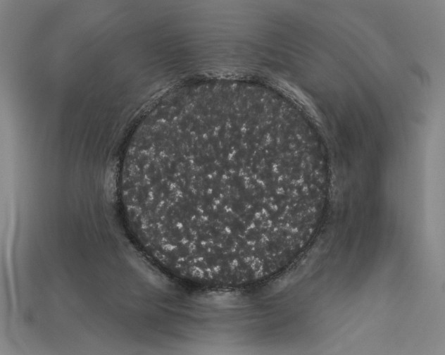 X0000113060065200909250917