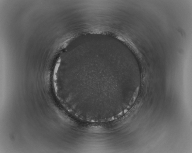 X0000113060066200909250917