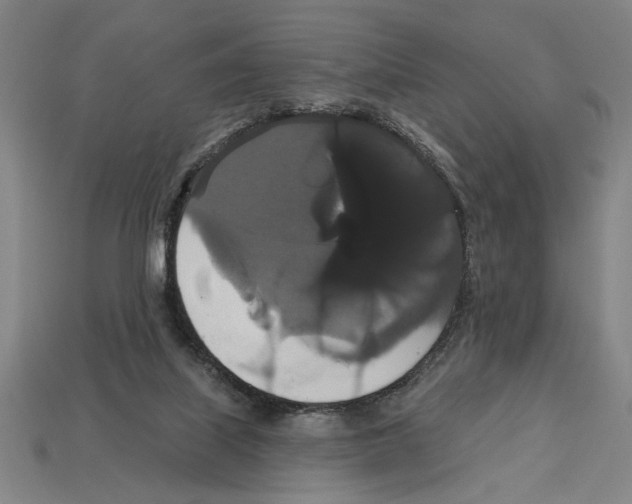 X0000113060067200909250917