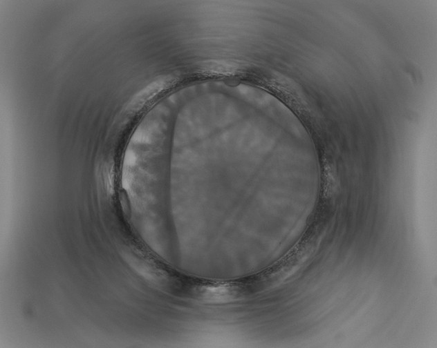 X0000113060068200909250917