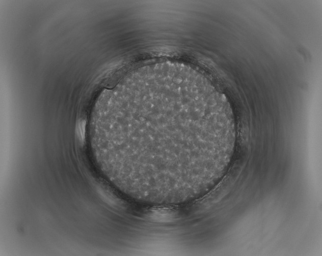 X0000113060070200909250917