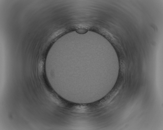 X0000113060071200909250917