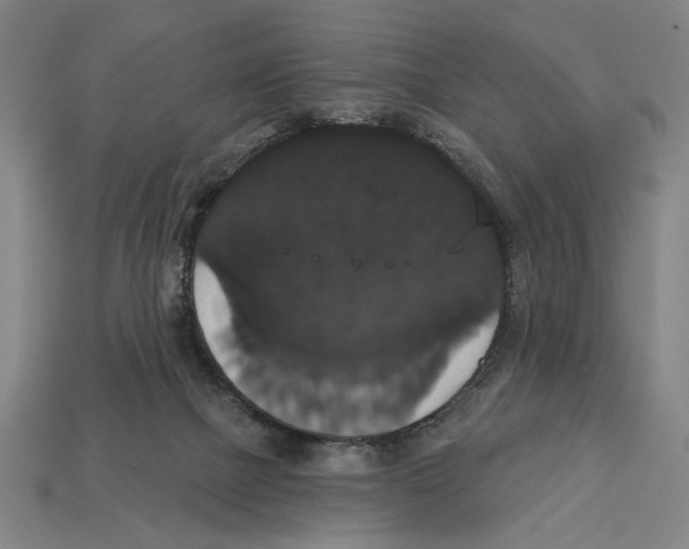 X0000113060073200909250917