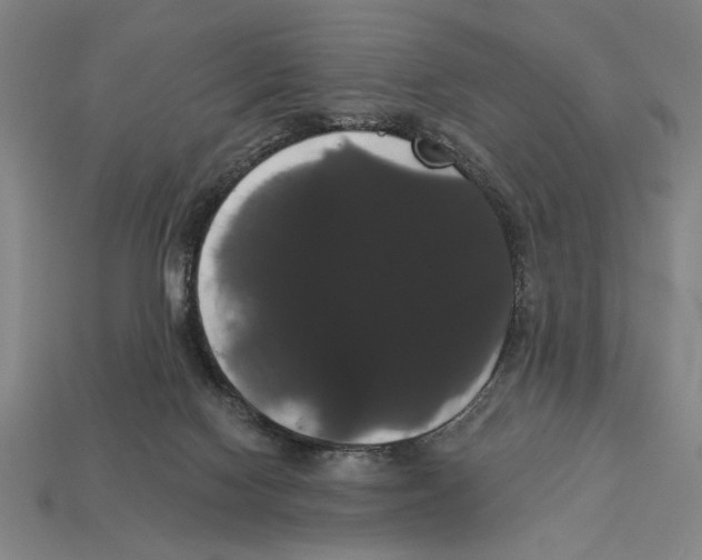 X0000113060074200909250917