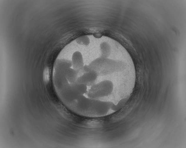 X0000113060075200909250917