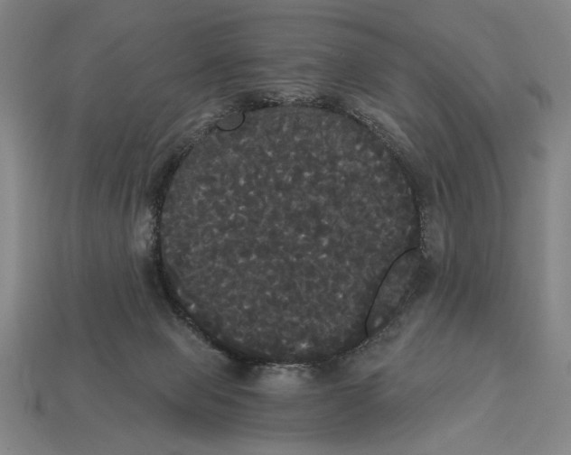 X0000113060077200909250917