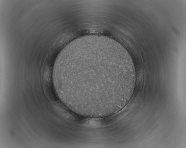 X0000113060078200909250917