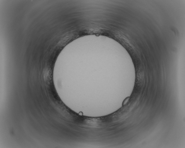 X0000113060079200909250917