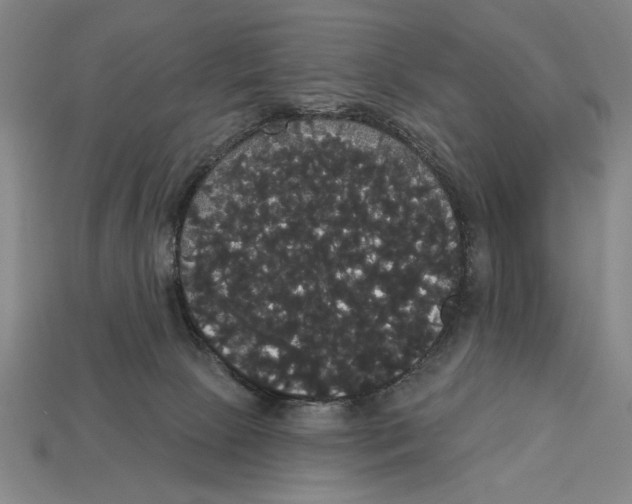 X0000113060081200909250917