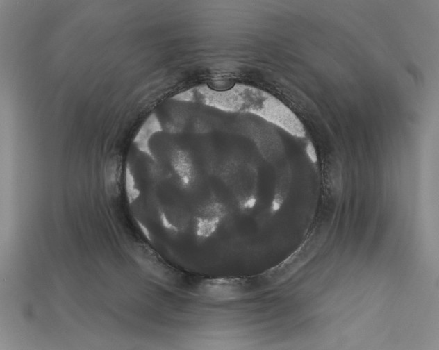 X0000113060082200909250917