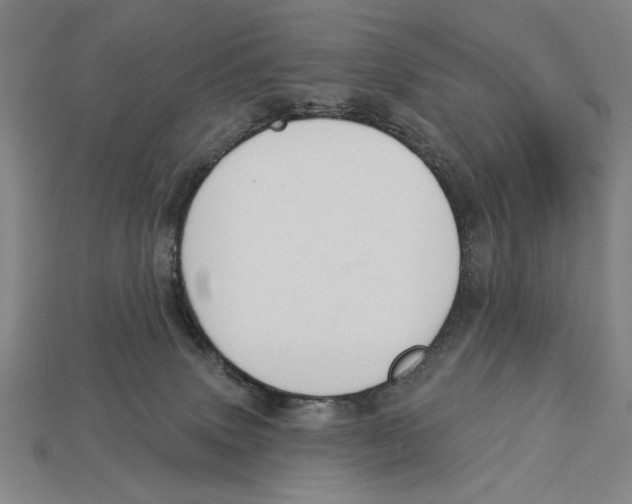 X0000113060083200909250917