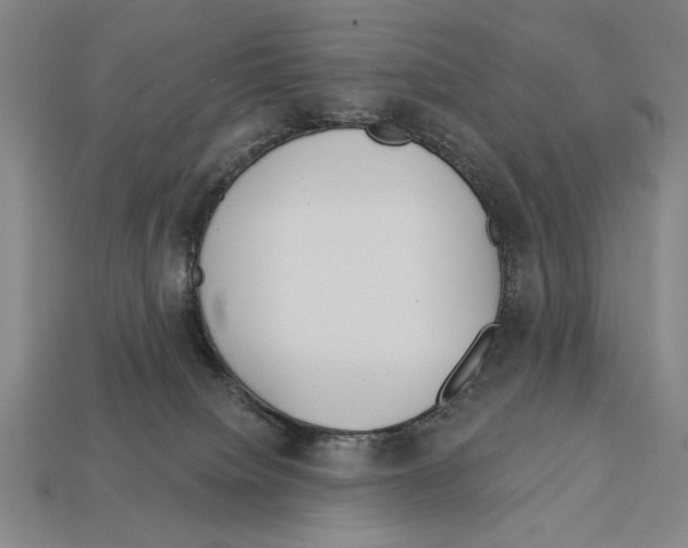 X0000113060084200909250917