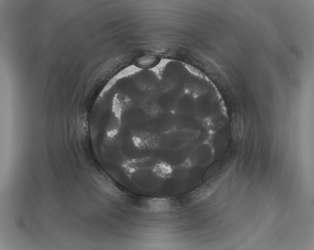 X0000113060085200909250917