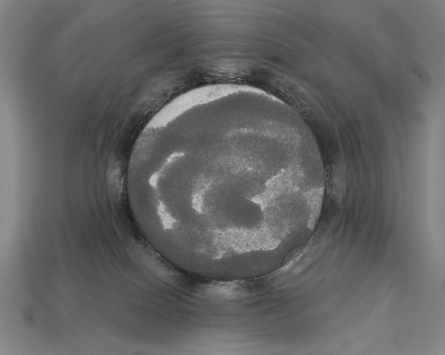 X0000113060086200909250917