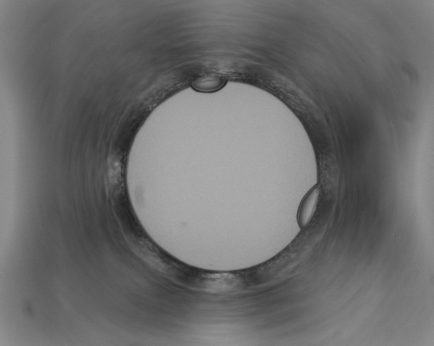 X0000113060087200909250917