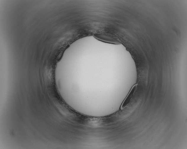 X0000113060088200909250917