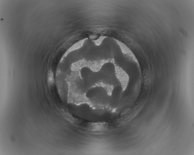 X0000113060089200909250917