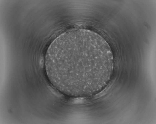 X0000113060090200909250917