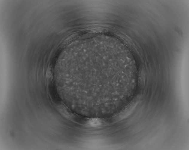 X0000113060091200909250917