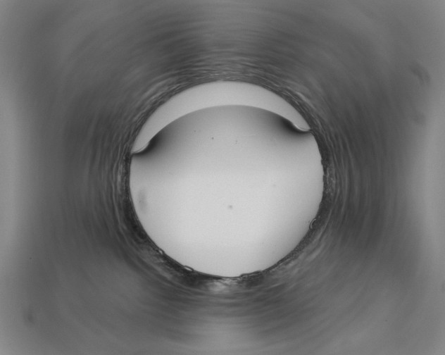 X0000113060092200909250917