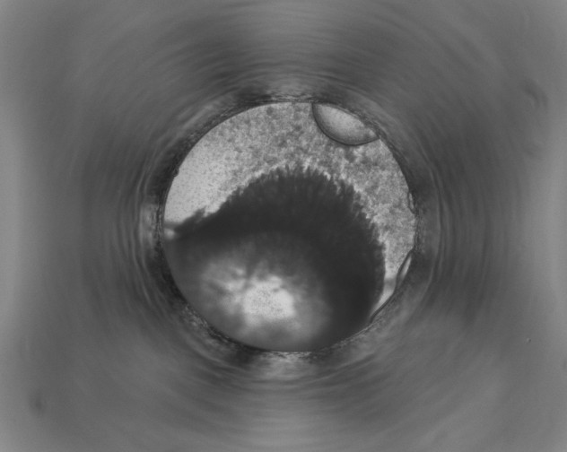 X0000113060093200909250917