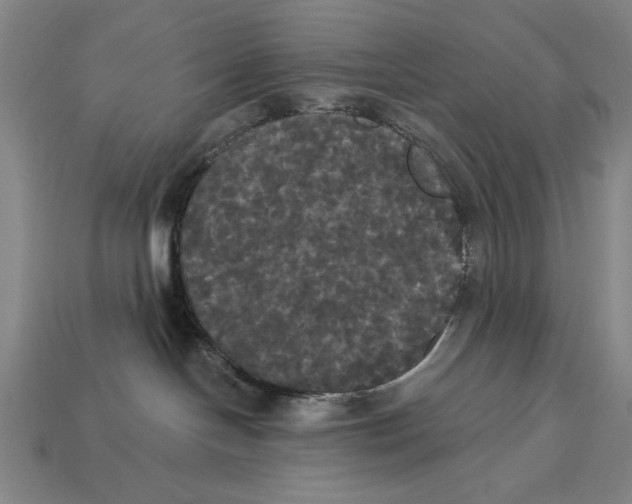 X0000113060094200909250917