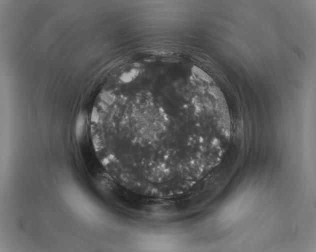 X0000113060095200909250917