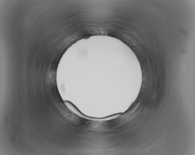 X0000113060096200909250917