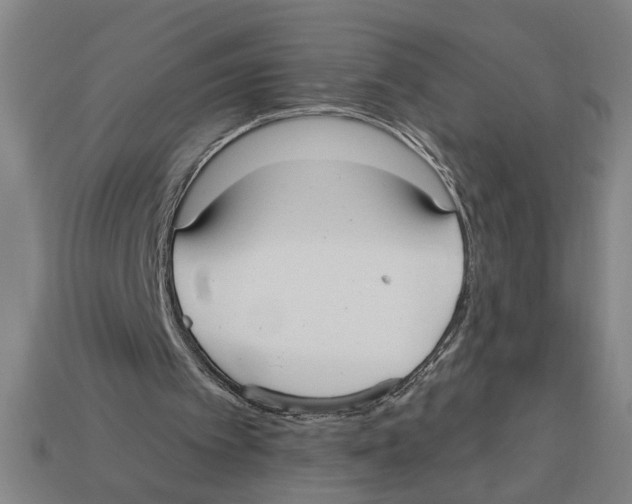 X0000113060097200909250917