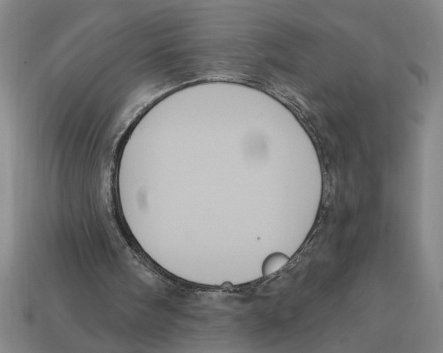 X0000113060098200909250917