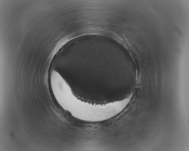 X0000113060099200909250917